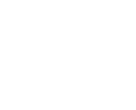 logo5_condis